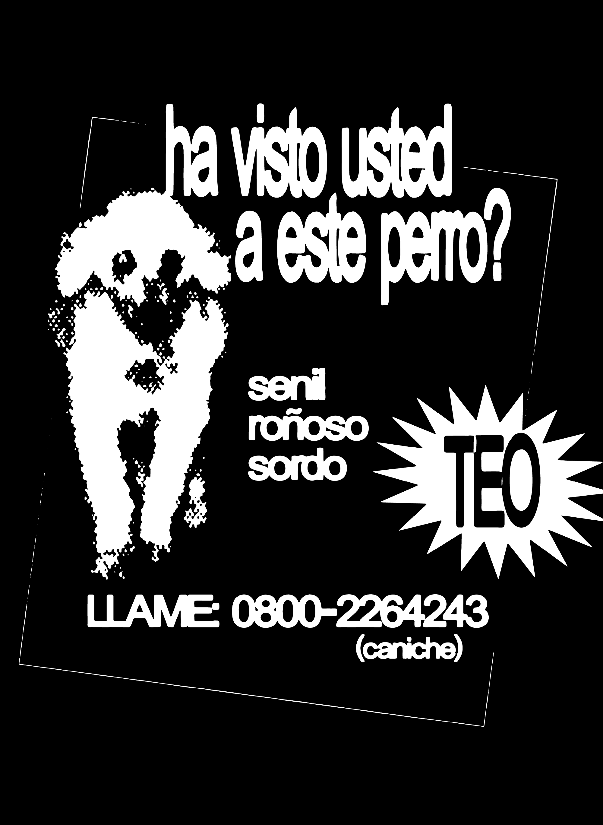 ¿Ha Visto Usted a Este Perro?